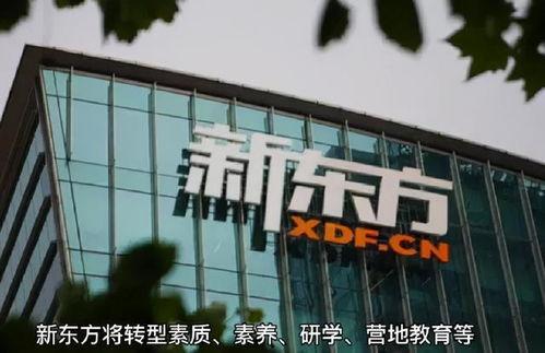 新东方最新爆料,揭秘教育行业变革与创新趋势  第2张