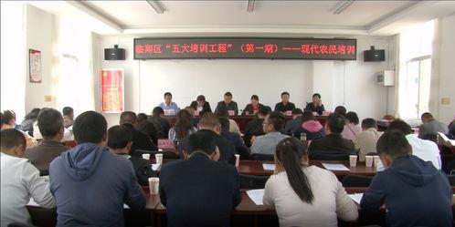 临翔区圈内新闻最新爆料,揭秘最新爆料背后的真相与影响