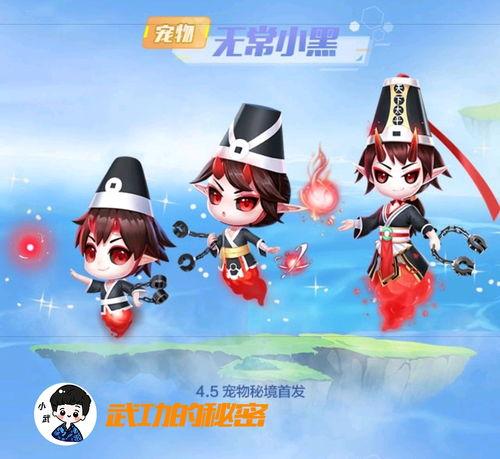 宠物秘境最新爆料视频,最新爆料视频带你探秘神秘宠物世界  第2张